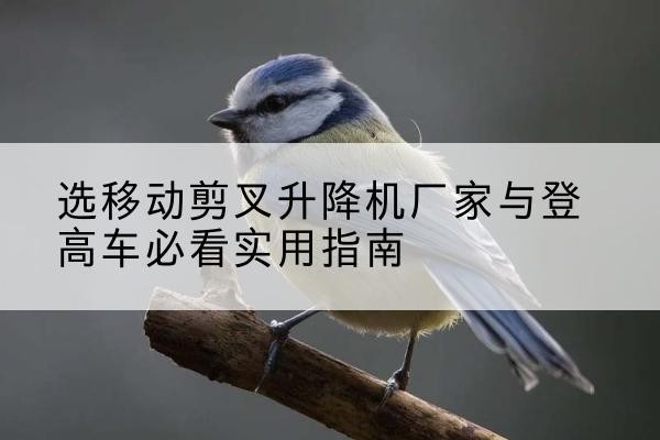 上犹电动升降机厂家-选移动剪叉升降机厂家与登高车必看实用指南