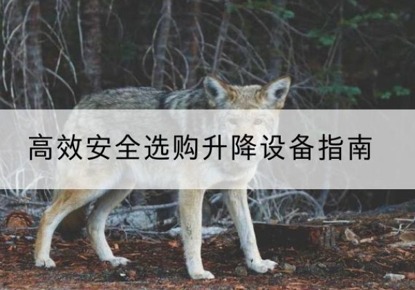 上犹升降货梯厂家推荐-*安全选购升降设备指南
