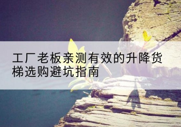 上犹升降货梯怎么选-工厂老板亲测有效的升降货梯选购避坑指南